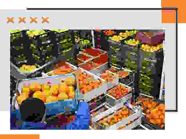 Перевозка скоропортящихся продуктов в Касимове